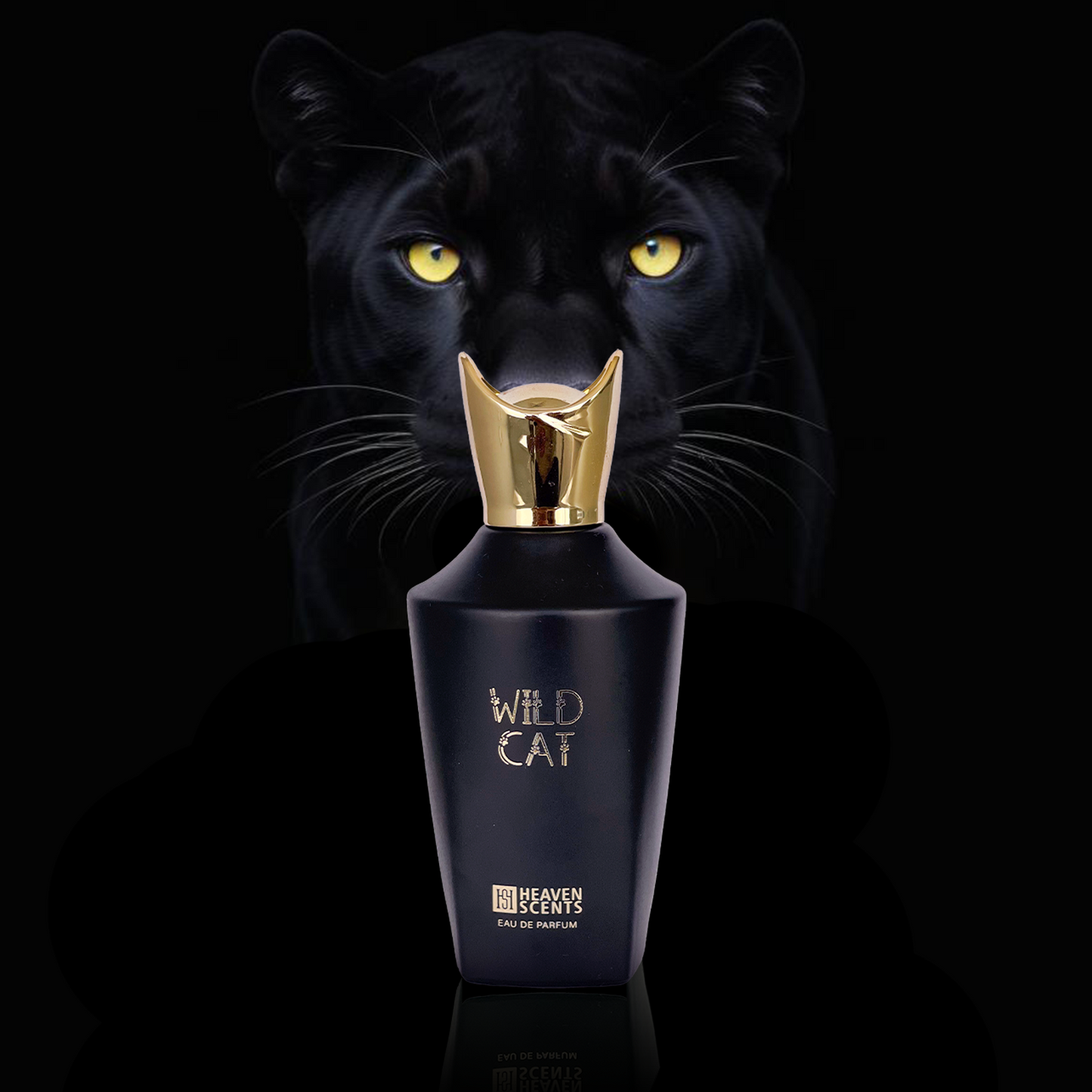 Wild Cat Perfume for Unisex EAU De Parfum Spray, 3.4 Ounce (100ml)